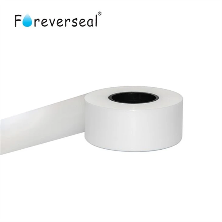 Full Density Ptfe Skived Film in China