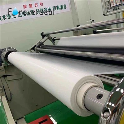 Ptfe Skived Film sample