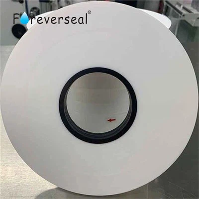 Ptfe Skived Film supplier